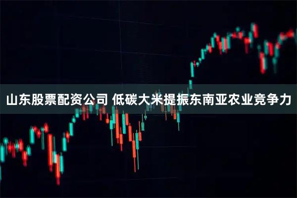 山东股票配资公司 低碳大米提振东南亚农业竞争力