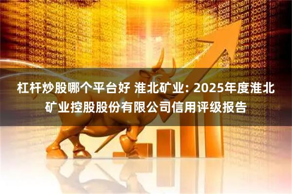 杠杆炒股哪个平台好 淮北矿业: 2025年度淮北矿业控股股份有限公司信用评级报告